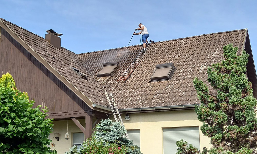 Nettoyage et Démoussage de Toiture à Mulhouse (68100) et dans le Haut-Rhin (68) - Compagnon Durand Père et Fils